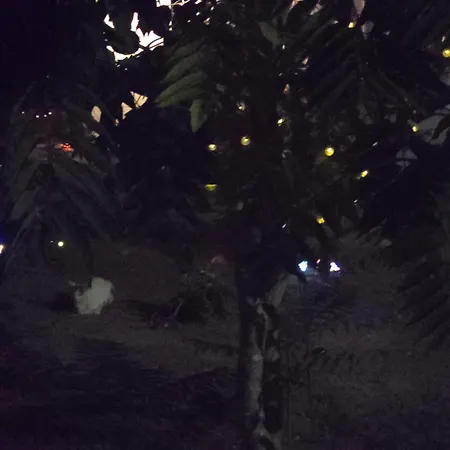 Silia's House Near The بيت للعطل